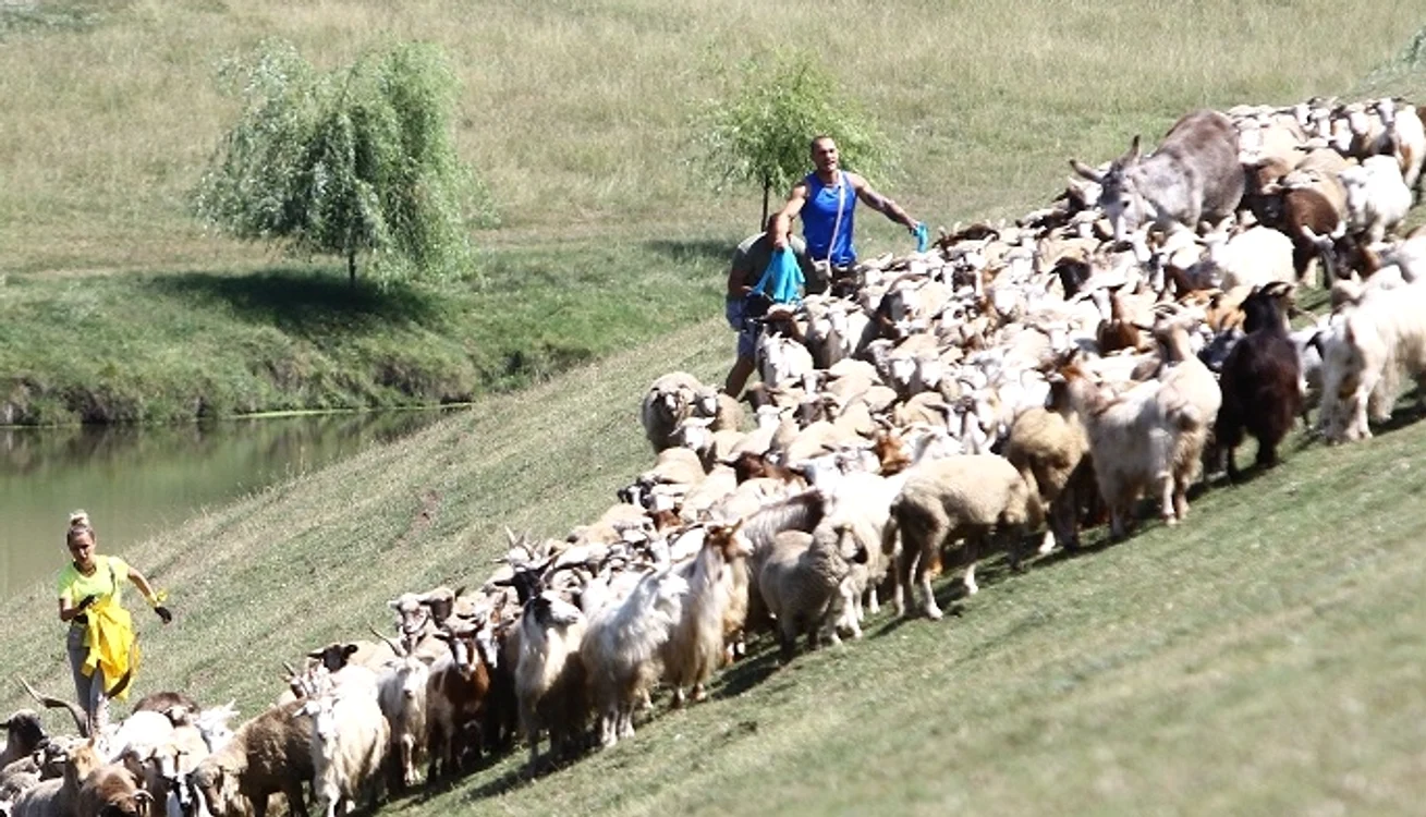 Concurenţii de la "Şerifi de România" au avut o misiune grea