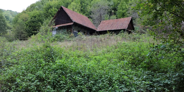 Bulzestii de sus, Hunedoara  Foto Daniel Guță  ADEVĂRUL (22) JPG