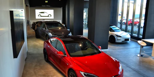 showroom masini electrice jpeg
