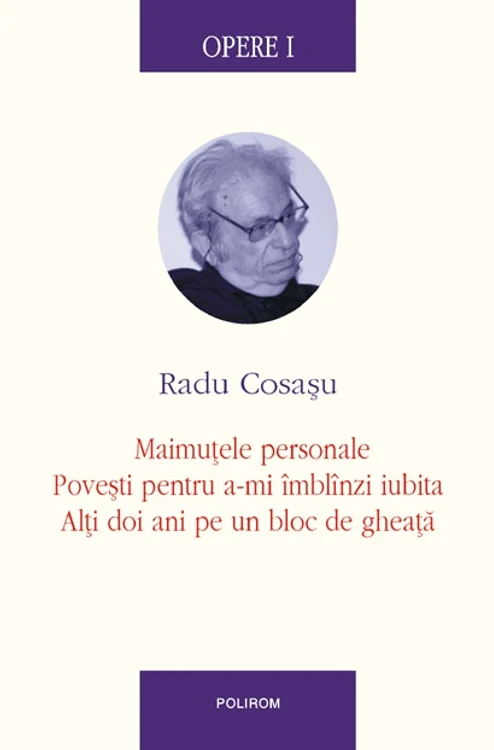 Eu, cititorul, şi cititorul lui Cosaşu jpeg