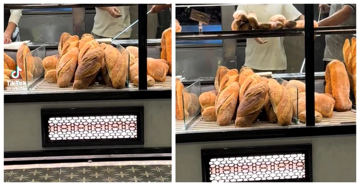 Un șobolan a pătruns într-o vitrină cu pâine și a șocat clienții / FOTO: Colaj captură video Tiktok