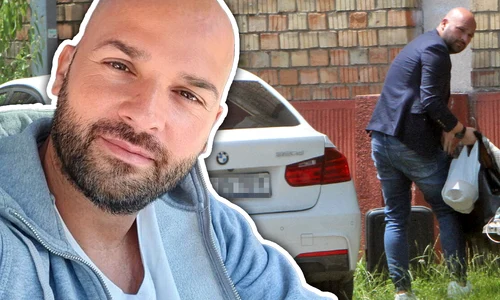 cub andrei stefanescu png