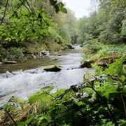Râul minunat din România  Valea Râului Mare din Retezat mp4 thumbnail png