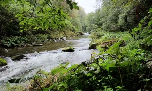 Râul minunat din România  Valea Râului Mare din Retezat mp4 thumbnail png