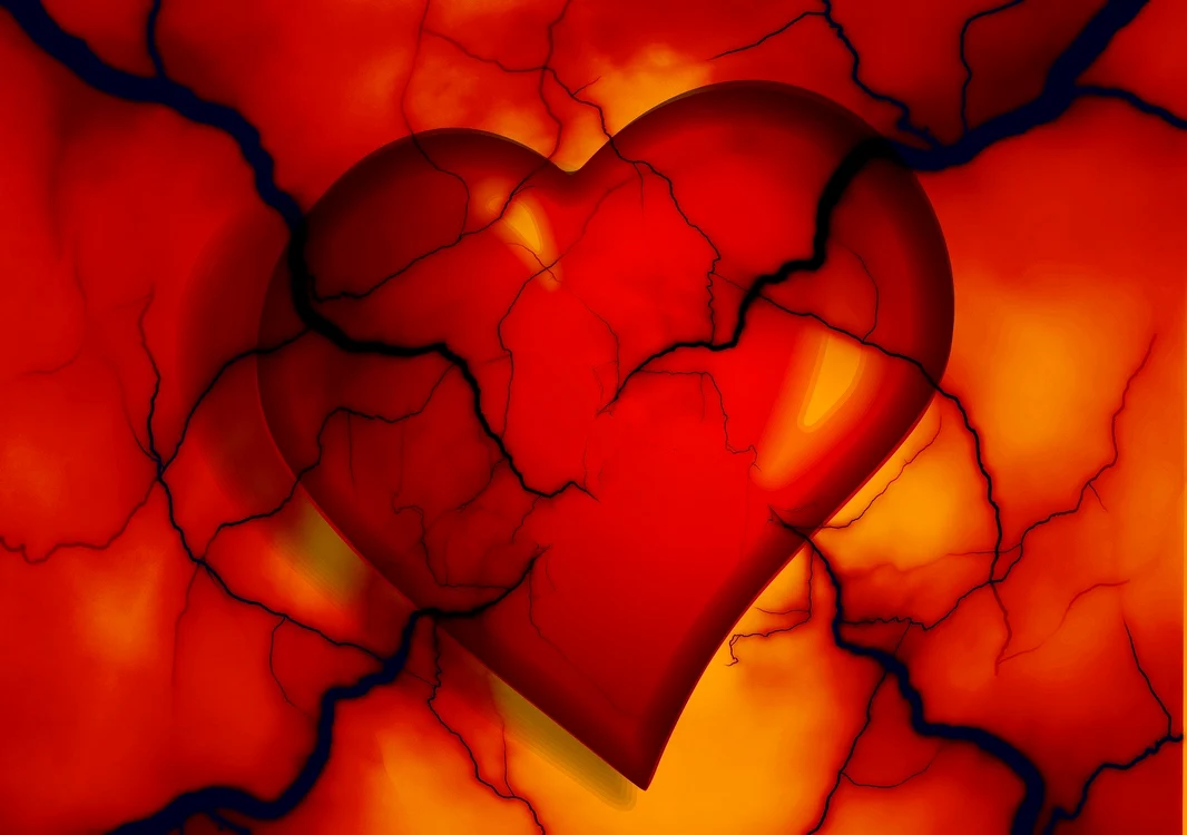 1 heart 2372134 1920 jpg jpeg
