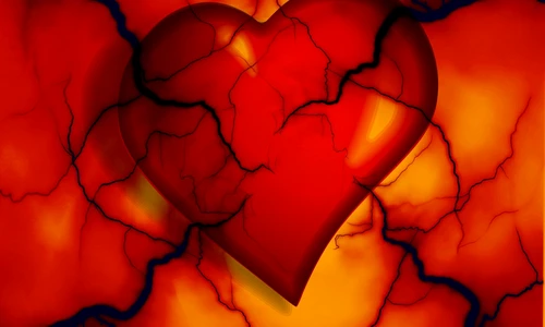 1 heart 2372134 1920 jpg jpeg