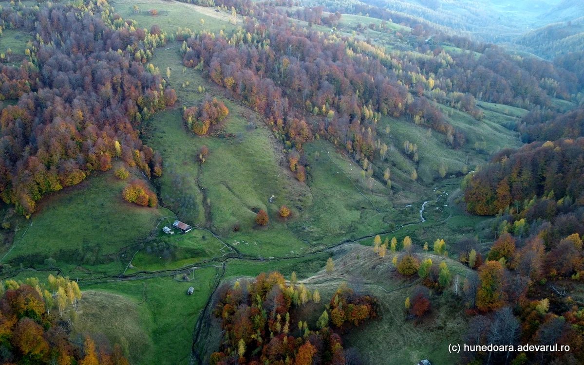 Lunca ponorului. Foto: Daniel Guță