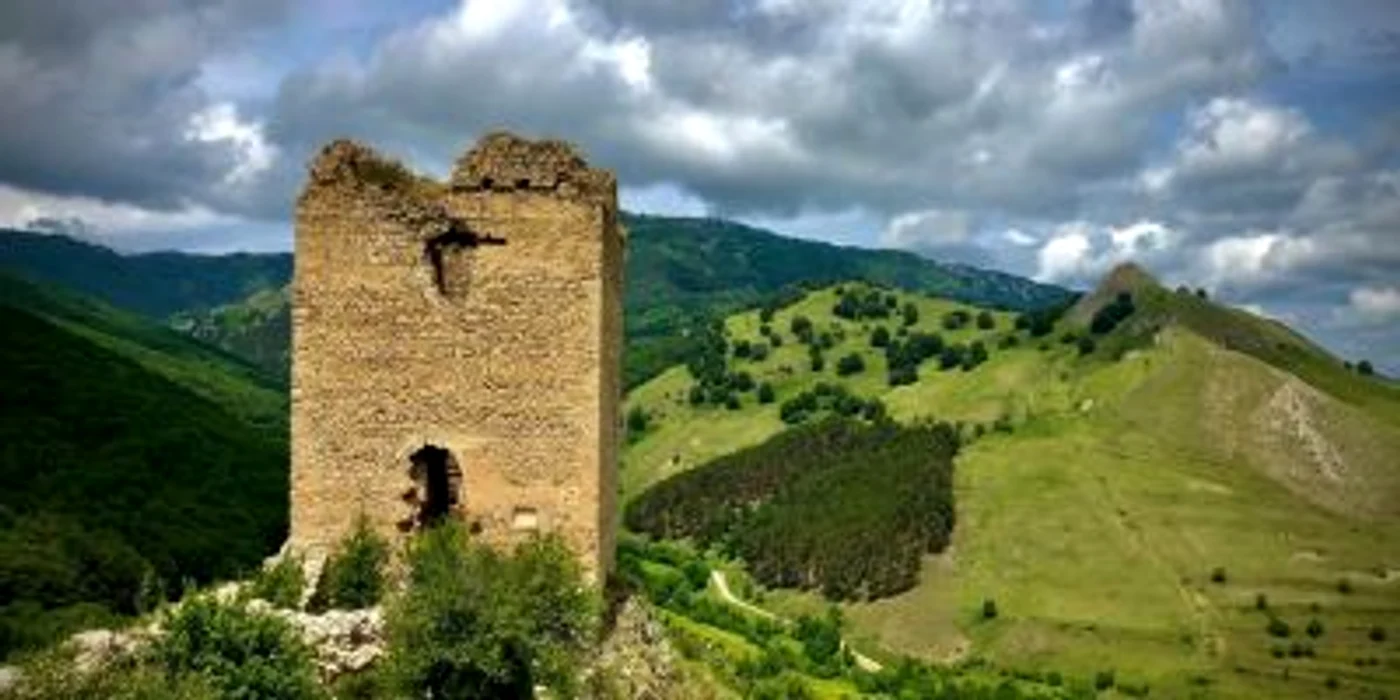 cetate coltesti