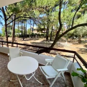 casa grecia foto spitogassos jpg