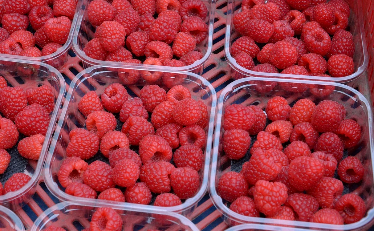 Fructe în caserolă / foto: Pixabay 
