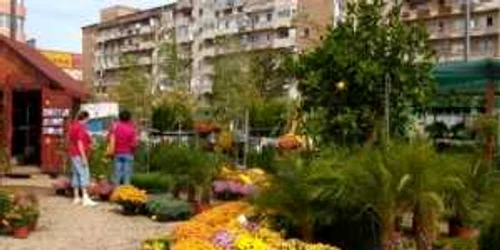 "Grădina lui Dăncuş" găzduieşte activităţile cultural-artistice