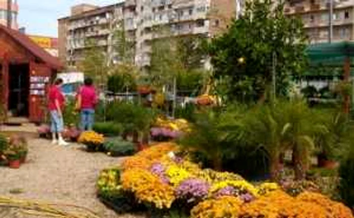 "Grădina lui Dăncuş" găzduieşte activităţile cultural-artistice
