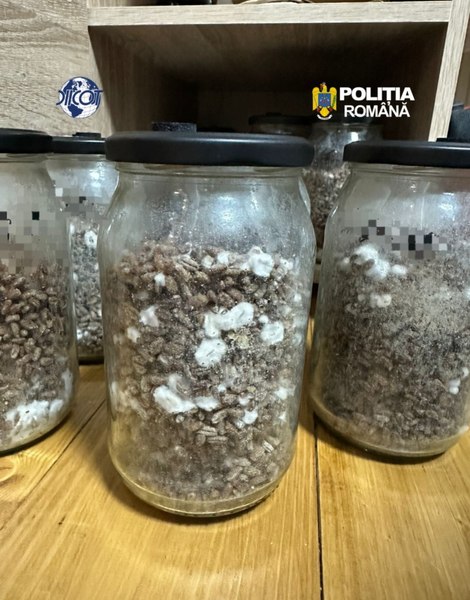Doi cetățeni străini, arestați după „ceremonia spirituală” cu droguri de mare risc din Hunedoara. Decizia instanței este definitivă