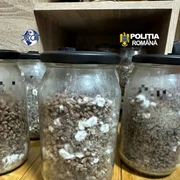 Descinderi DIICOT în timpul unui ritual șamanic (1) jpeg