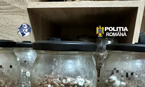 Descinderi DIICOT în timpul unui ritual șamanic (1) jpeg
