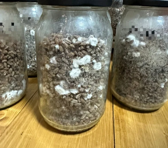 Cocktail de droguri
