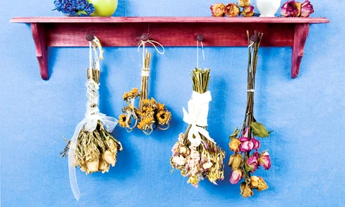 1 69749 original jpg jpeg