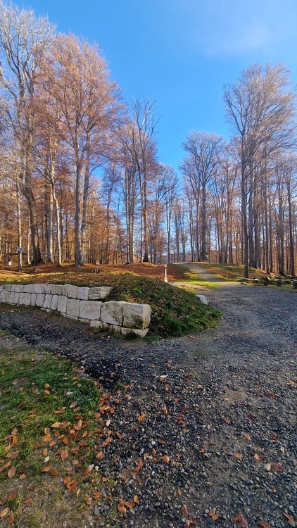 Sarmizegetusa Regia (© Facebook / Administrația Sarmizegetusa Regia)