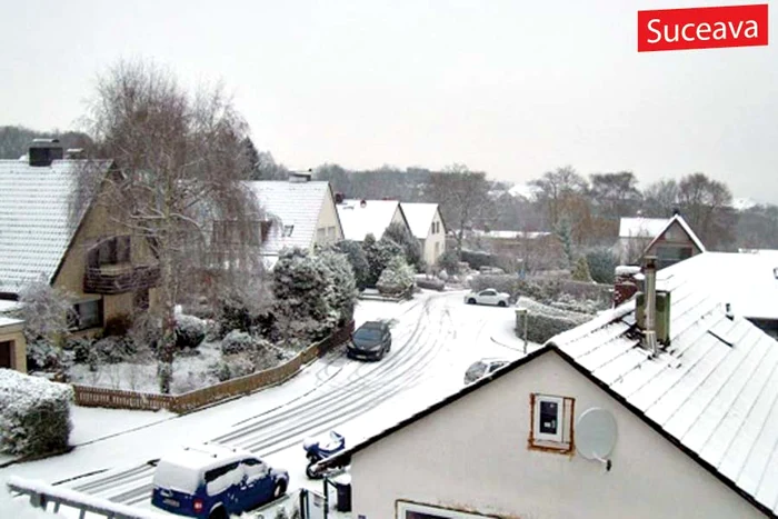 Copacii au fost smulşi din rădăcină şi au distrus maşinile parcate (Foto: Observator de Constanţa)