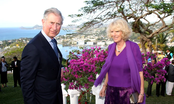 camilla- charles rege