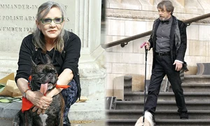 15 ii recunoasteti gif