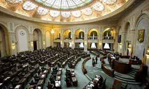 senat poya mani jpeg