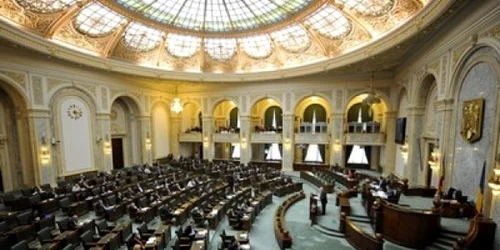 senat poya mani jpeg