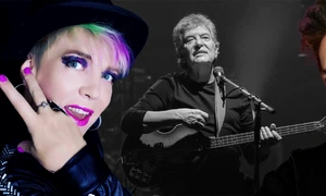 banner silvia dumitrescu jpg