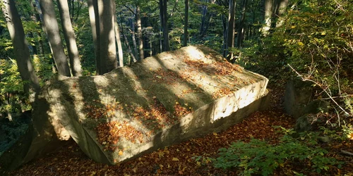 masa talharilor foto botosani online jpg