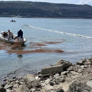 Poluare pe Dunăre (4) jpeg