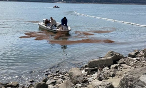 Poluare pe Dunăre (4) jpeg