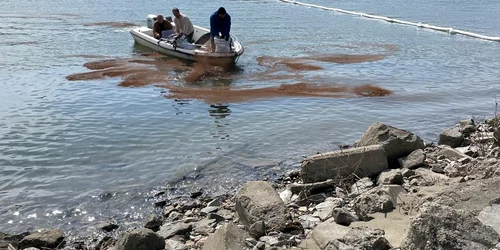 Poluare pe Dunăre (4) jpeg