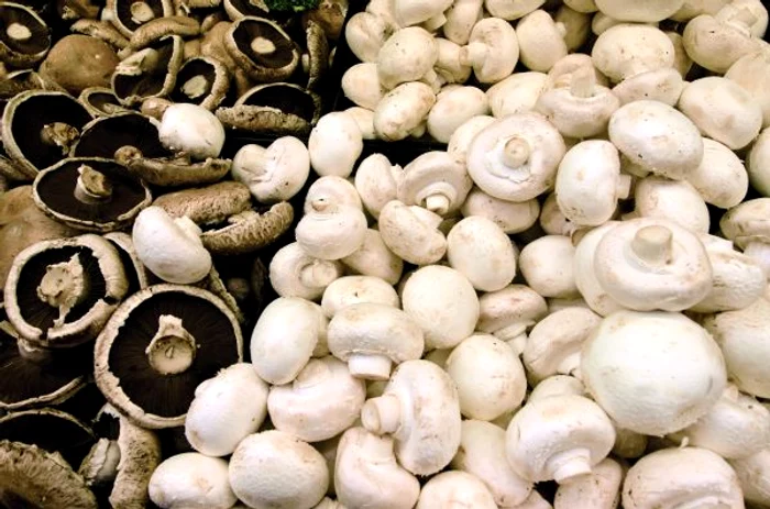 
    Caută ciuperci cu pălăriile intacte şi evită-le pe cele cu decolorări sau pe cele uscate.www.clicksanatate.ro  