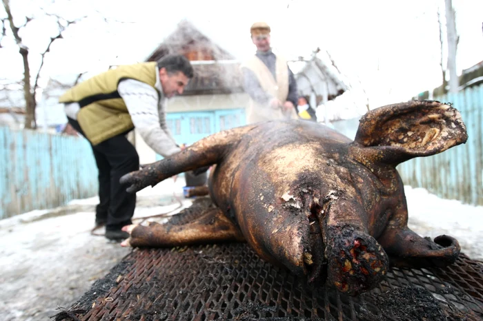 Tăierea porcului, obocei păgân FOTO: Arhiva Adevărul