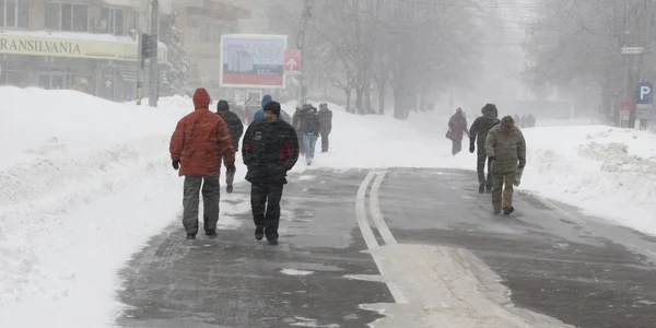 focsani viscol
