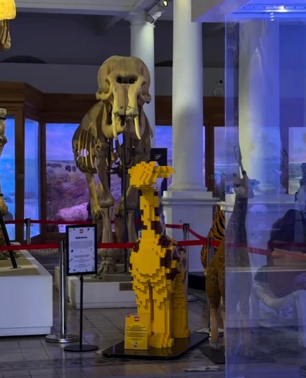 Animale din Lego la Antipa