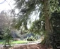 Parcul Dendrologic din Simeria Foto Daniel Guță ADEVĂRUL (20) JPG
