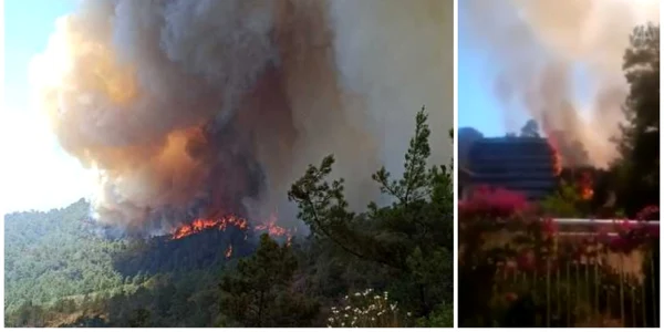 Incendiu Turcia langa Marmaris FOTO Twitter 