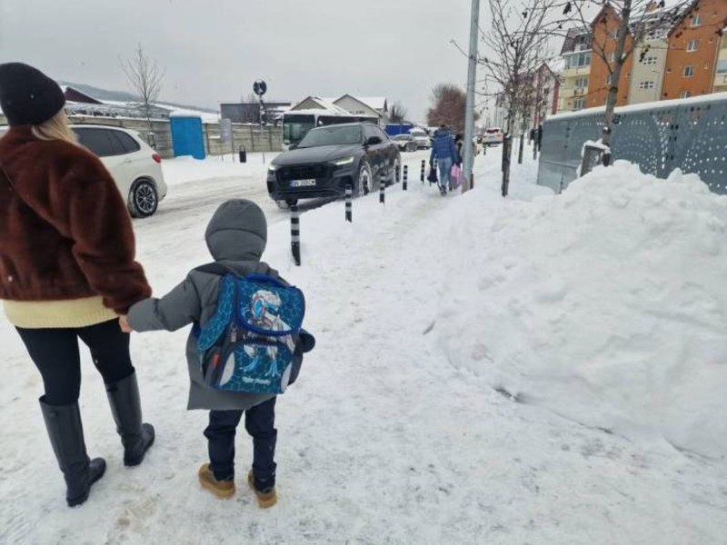 Toate școlile din Bistrița, închise și vineri din cauza viscolului