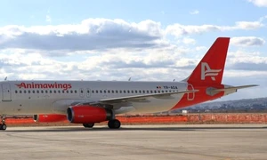 avion animawings jpeg