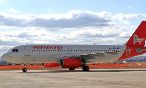 avion animawings jpeg