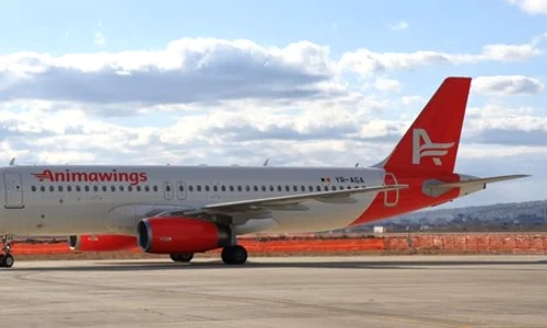 avion animawings jpeg