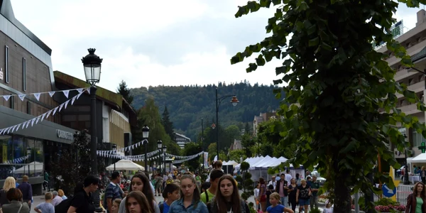 sinaia forever 2016 foto dana mihai