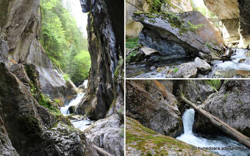 Spectaculoasele chei din Retezat. Locul sălbatic ascuns în inima munților VIDEO
