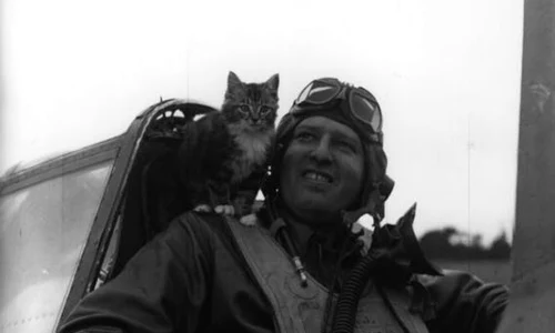 historia ro undefined jpeg