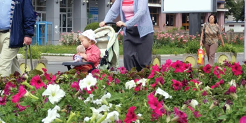 Resita: Florile dau culoare oraşului