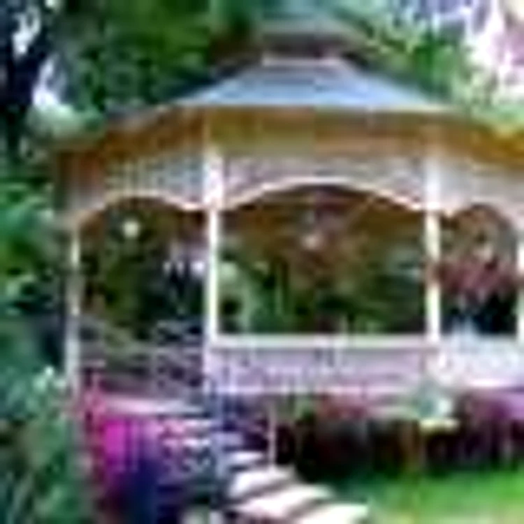 gradina publica barlad foisor