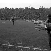 Emeric Ienei (Facebook, TVR) jpg