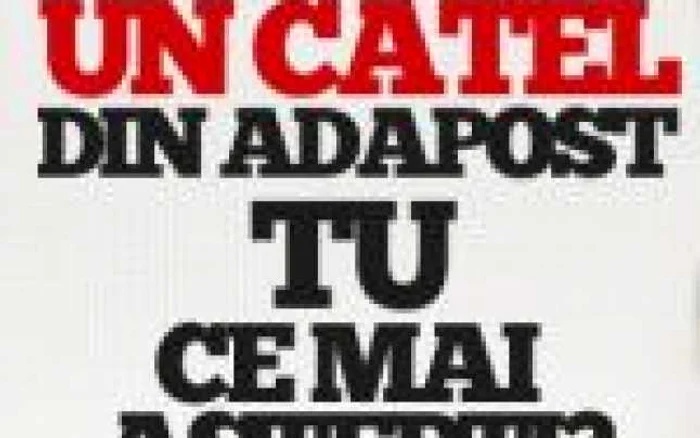 Campania "Hrăneşte un căţel!"