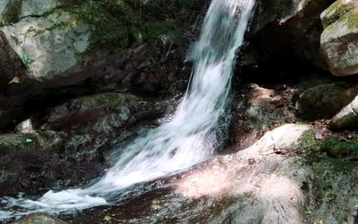 cheile borzestiului foto